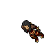 Draccoon Herald (base)